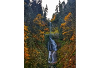Pup Creek Falls in Oregon's Mt. Hood Territory
