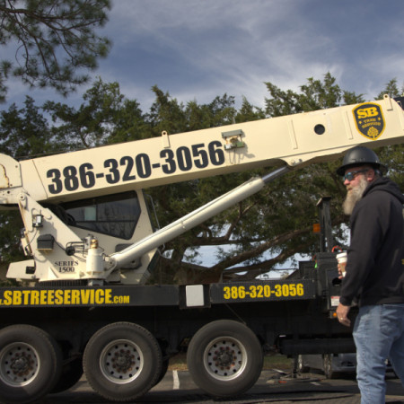 SB Tree Service