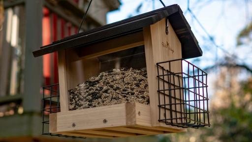 Invite Birds to the Yard With This DIY Bird Feeder From Exmark