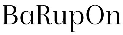 BaRupOn LLC