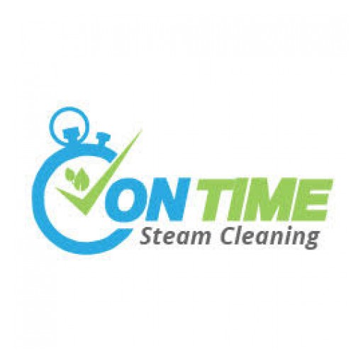 On Time Steam Cleaning, Inc. Offers Donation for Sofa or Upholstery Cleaning for Gala Auction for Chelsea's Local Elementary School