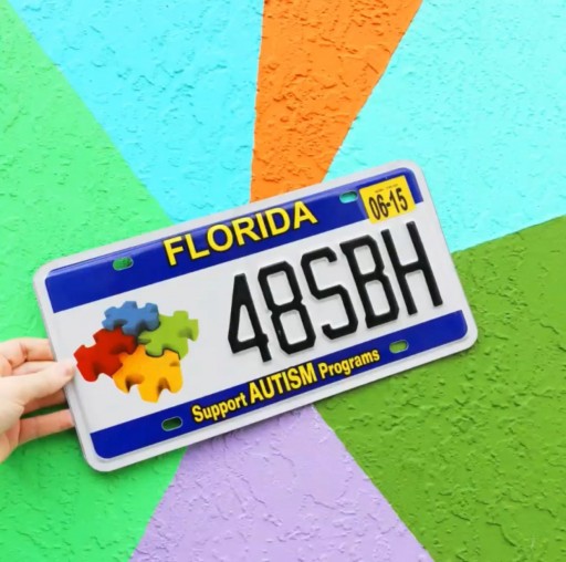 Autism License Plate Helps 25 Florida Nonprofits