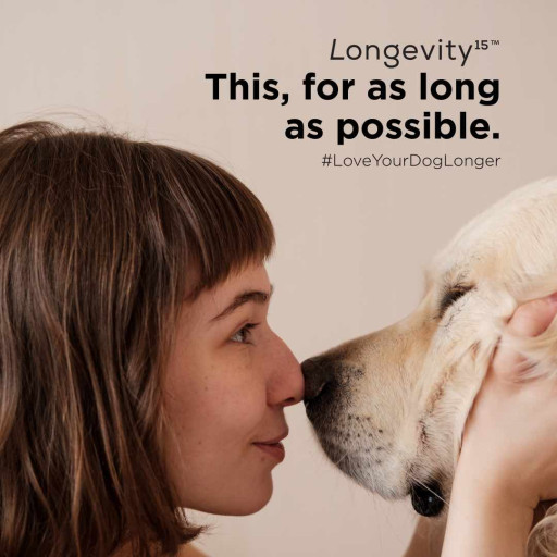Pet's Best Life, LLC. Aims to Help People 'Love Their Dogs Longer' with Science-Based Products like Yummy Combs(R) and Longevity15(R)