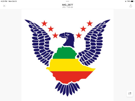 American Ethiopian Public Affairs Committee Logo