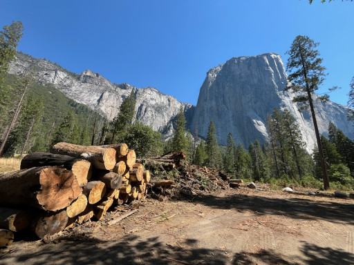 Yosemite Fuels Makes Debut in California With Innovative Carbon-Negative Hydrogen Fuel, Advancing Decarbonization and Renewable Energy Solutions