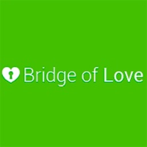 Bridge Of Love Video Search Feature Helps People To Meet Their Perfect Match