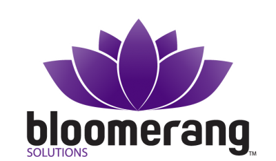 Bloomerang Solutions