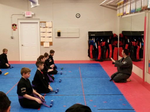 Growing Kenpo Dojo Growing With Greatmats Martial Arts Mats