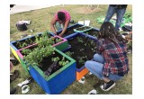 Students Planting School Garden