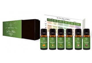 Aromatherapy Essential Oil Gift Set