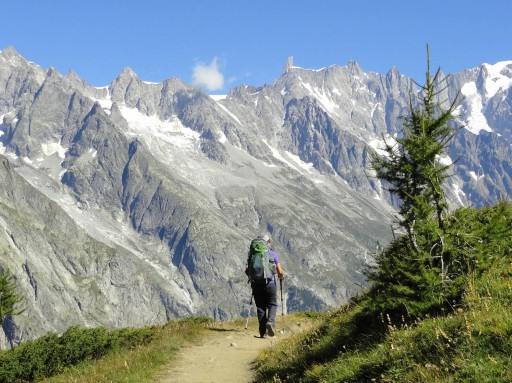 Call of the Wild Adventures Introduces Trek Around Mont Blanc!