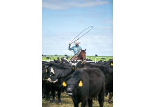 RanchMeat offers a free platform for Ranchers
