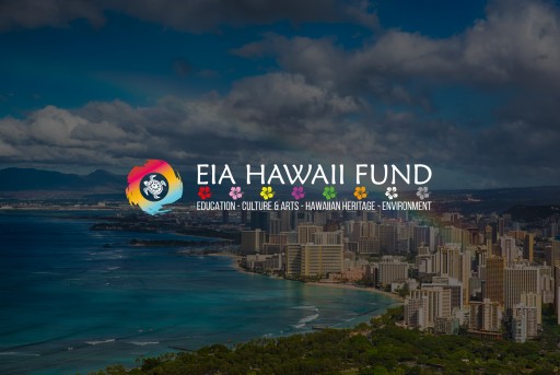 New Hawaii Based Focused Initiative Launches to Connect Non-Profit Organizations With Essential Resources
