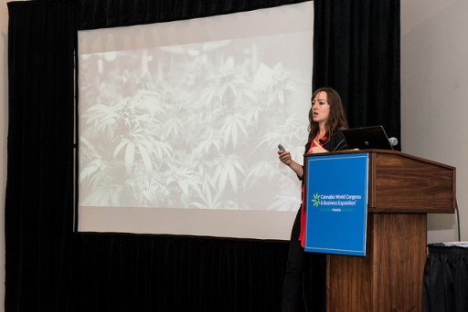 Comprehensive Medical Cannabis and Cannabinoid Education Presented at New York Expo