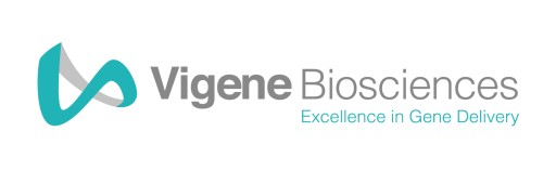 Vigene Biosciences Announces Partnership With Virovek to Make High-Yield cGMP AAV Production Technology Accessible and Affordable