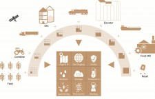 Digitizing the Grains and Cereals Supply Chain