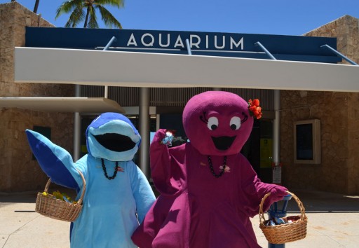 Diamond Bakery & Waikiki Aquarium Offer Snack Attack Zone for Pokemon Users