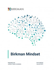 Birkman Mindset 