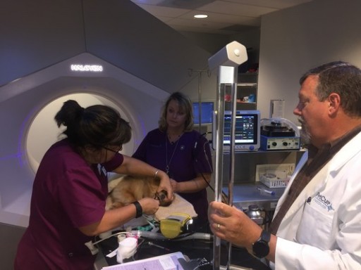 PetCure Oncology Continues to Provide Care for Pets With Cancer During COVID-19