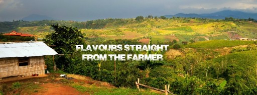 Pro-Bitcoin Flavours Place Platform Strengthens Support to Businesses and Coffee Farmers Worldwide