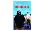 Breach Of Consciousness Book cover