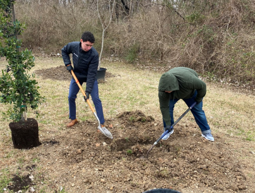 American Forests and Salesforce Provide New Trees for Dallas Parks