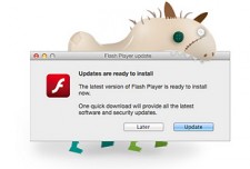 SilverInstaller Fake Flash Player