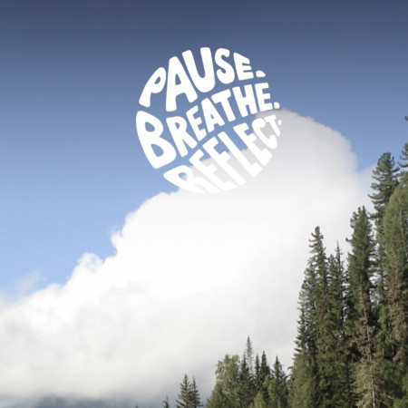 Pause Breathe Reflect