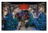 Winter Wonderland, located at Osceola Courtyard, is located at the corner of Drew Street and Fort Harrison Avenue, Wednesday through Sunday from 6 p.m. to 9 p.m. until December 23.