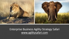 Enterprise Business Agility Safari