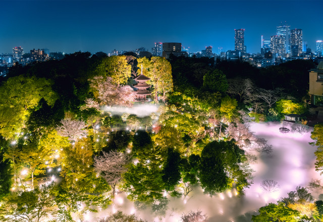 Pagoda in the Clouds