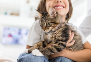 Pets Deserve Care They Can Count On