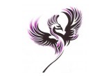 CARN Pheonix Logo