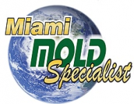 Miami Mold Specialists