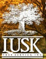 Lusk Tree Service