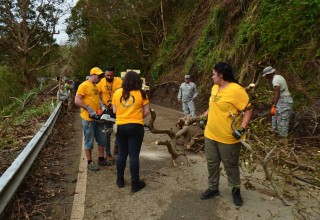 A Puerto Rico road after Hurricane Maria. Scientology Volunteer Ministers help National Guard members clear off trees off so traffic can get through.