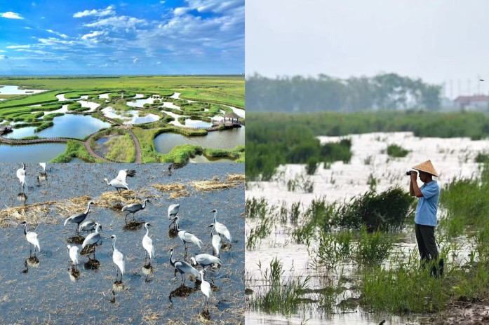 Nandagang wetland in Cangzhou