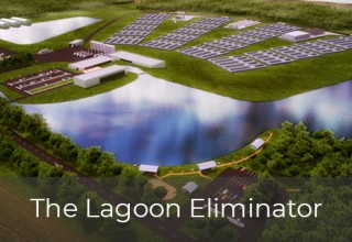 Lagoon Eliminator