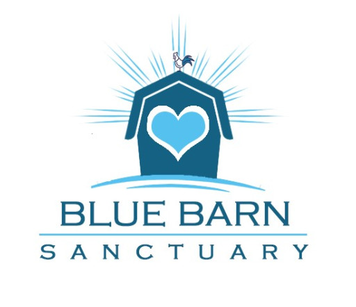 Blue Barn Rescue Launches