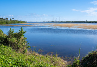 Canaveral National Seashore
