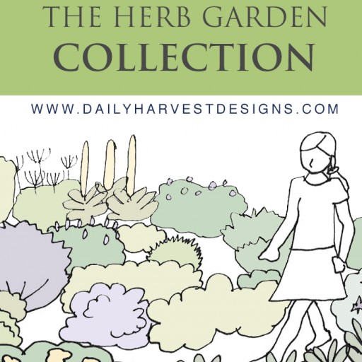 Daily Harvest Designs Releases the Herb Garden Collection: Innovative New Instant Download Garden Designs