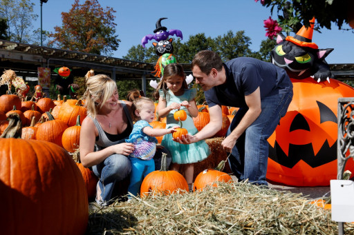 Experience the All-New Fall Family Festival at Hicks Nurseries