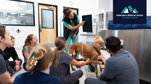 VRCCO Invests in the Future of Veterinary Medicine Through Education-Driven Innovation