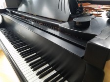 QRS Player Piano Integration with Amazon Echo-Echo Dot