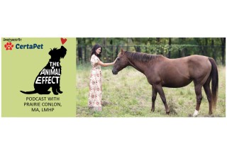 The Animal Effect podcast