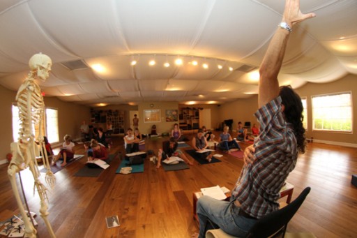 Yoga Teachers Can Master Their Teaching Skills With Master Teacher  Brian Dorfmans Workshops | Encinitas/San Diego