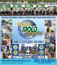 Miami Mold Specialist