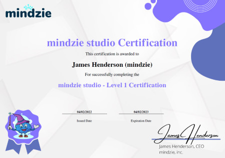 mindzie Certification