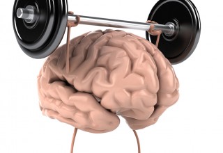 Big Muscle Brain