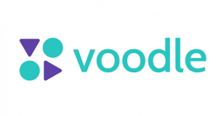 Voodle Logo